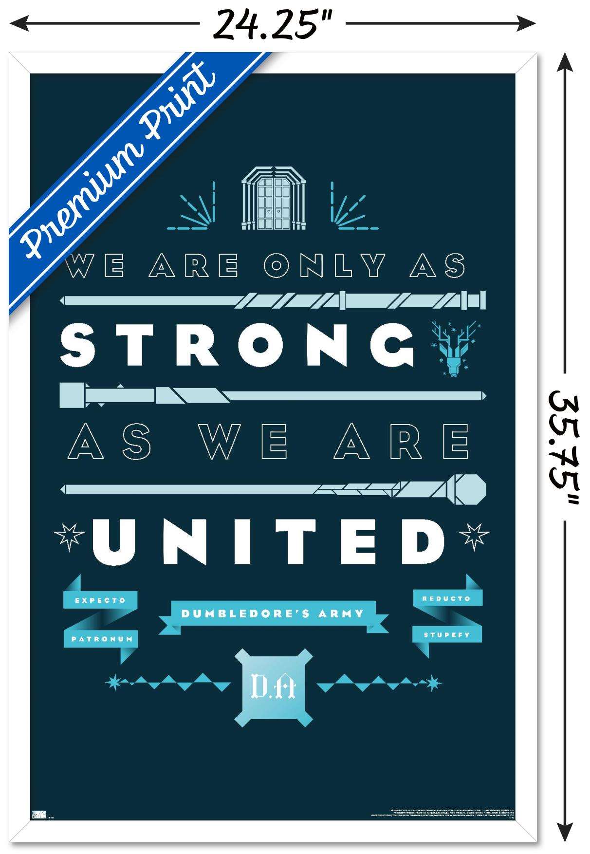 Harry Potter - United Wall Poster, 22.375" x 34", Framed