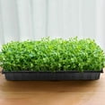 thumbnail image 3 of 10Pcs Germination Tray Eco-friendly High Survival Rate PVC Greenhouse Plant Nursery Pot for Home, 3 of 9