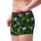 thumbnail image 2 of Fotbe Tropical Leaves1 Calzoncillos Tipo Boxer con Bolsa de Soporte Total para Hombre, X-Temp Fresco, Transpirable y de Secado Rápido-X-Large, 2 of 5