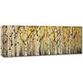 thumbnail image 2 of Trademark Fine Art "PanorAspens Fall Begins" Canvas Art by Roderick Stevens, 2 of 3