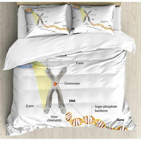 Educational Duvet Cover Set, Cell Chromosome DNA Gene Genome Study Double Helix Evolution Science Research, Decorative Bedding Set with Pillow Shams, Multicolor, by