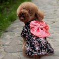 thumbnail image 4 of Ropa de Kimono Bowknot ropa de vestir para mascotas ropa para gatos perros XS Negro jinwen Kimono de mascotas, 4 of 8