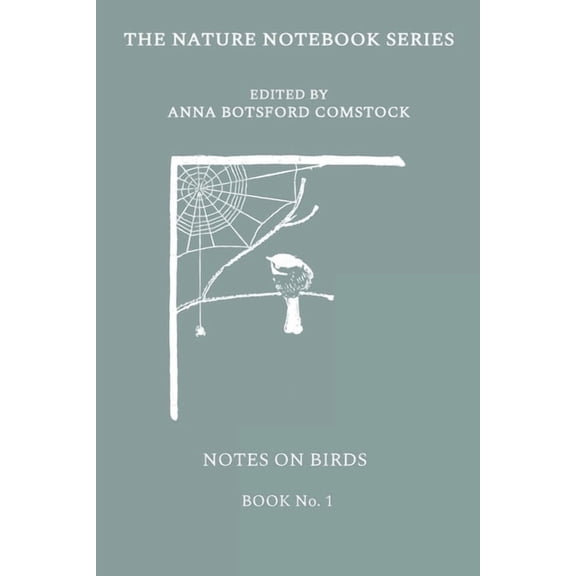 Notes on Birds 1, (Paperback)