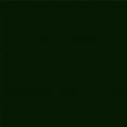 thumbnail image 2 of R&E Paint Supply Compatible with Honda G97P, Vermont Green Pearl Automotive Paint, 2 of 4