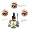 thumbnail image 4 of Aceite De Ricino Natural, Suero Para El Crecimiento De Pestañas, Crecimiento De Cejas, Líquido, Aceite Esencial, Maquillaje, Potenciador De Pestañas ANGGREK  Otros, 4 of 8