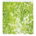 thumbnail image 3 of Ambesonne Tree Shower Curtain, Nature Summertime Green, 69"Wx84"L, Green, 3 of 5
