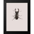thumbnail image 2 of Incado 19x24 Black Modern Framed Museum Art Print Titled - Lucanus cervus, 2 of 5