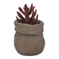 thumbnail image 3 of Maceta Prichos 10.3 cm H Decoración de planta, Varios modelos 1 pieza, 3 of 4