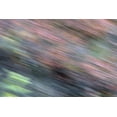 thumbnail image 2 of Morris, Arthur 14x11 White Modern Wood Framed Museum Art Print Titled - AK, Denali NP Blur of autumn tundra spruce trees, 2 of 4