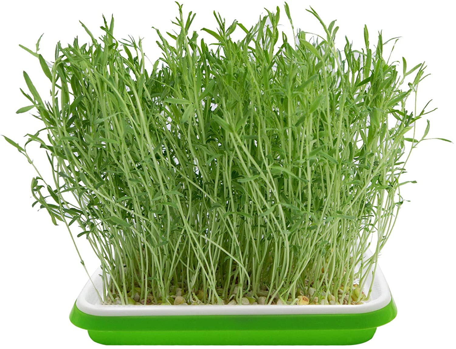 5 Layers Seed Starter Kit - Seed Sprouter Trays with Clear Lid & Stainless Steel Shelf, Soil-Free Germination Trays for Indoor/Outdoor Microgreens, Wheatgrass Mung Beans Cat Grass & Seedling Growing