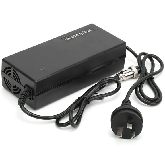 Electric Skateboard Charger