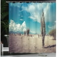 thumbnail image 4 of Ambesonne Cactus Shower Curtain, Sunny Hot Desert Plant, 69"Wx84"L, Multicolor, 4 of 5
