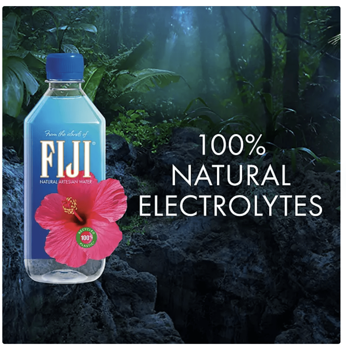 FIJI Natural Artesian Water, 16.9 Fl Oz (Pack of 24) - Packaging May Vary