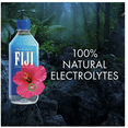thumbnail image 2 of FIJI Natural Artesian Water, 16.9 Fl Oz (Pack of 24) - Packaging May Vary, 2 of 9