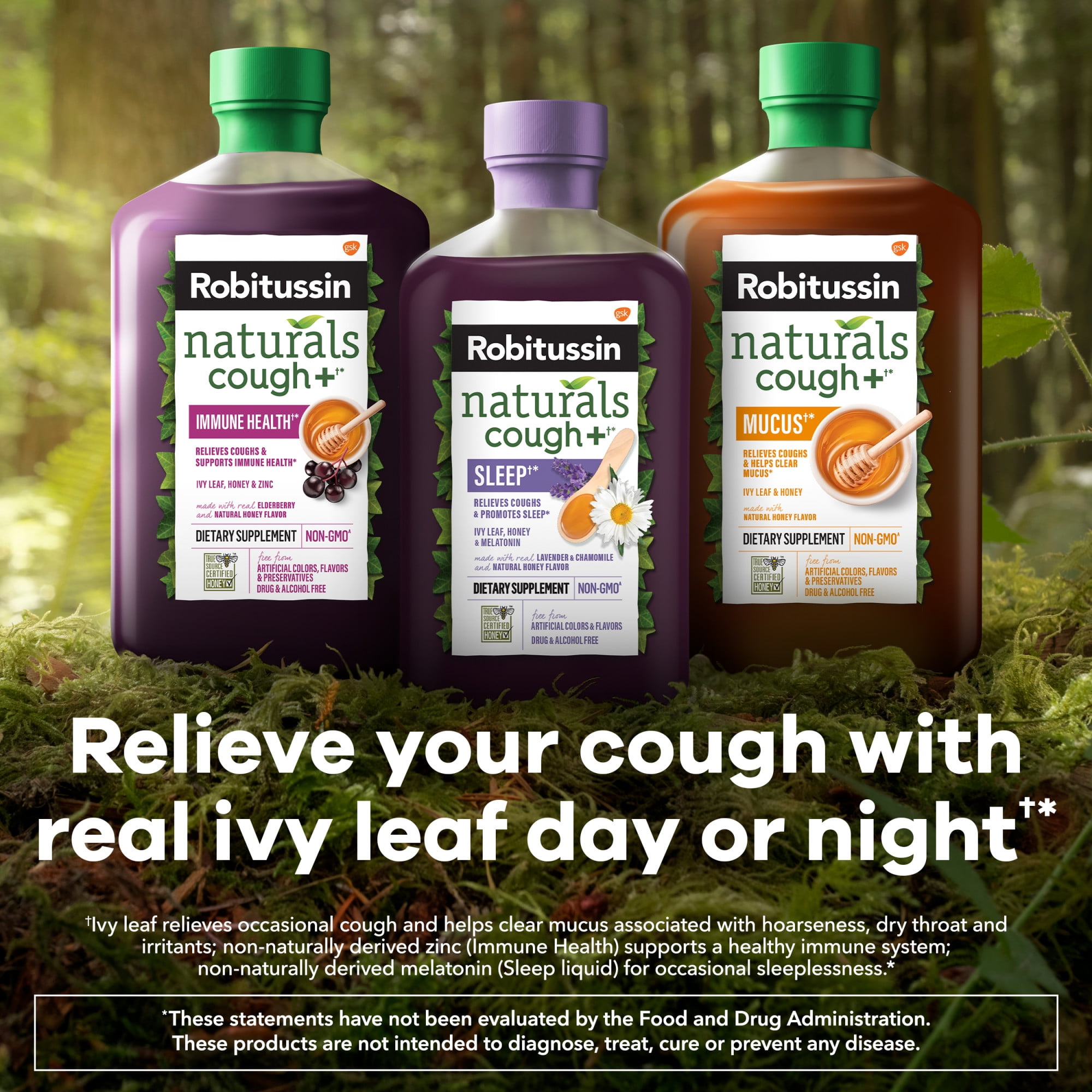 Robitussin Naturals Cough and Cold Medicine, Honey and Ivy Leaf, 8.3 Fl Oz