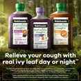 thumbnail image 6 of Robitussin Naturals Cough and Cold Medicine, Honey and Ivy Leaf, 8.3 Fl Oz, 6 of 7
