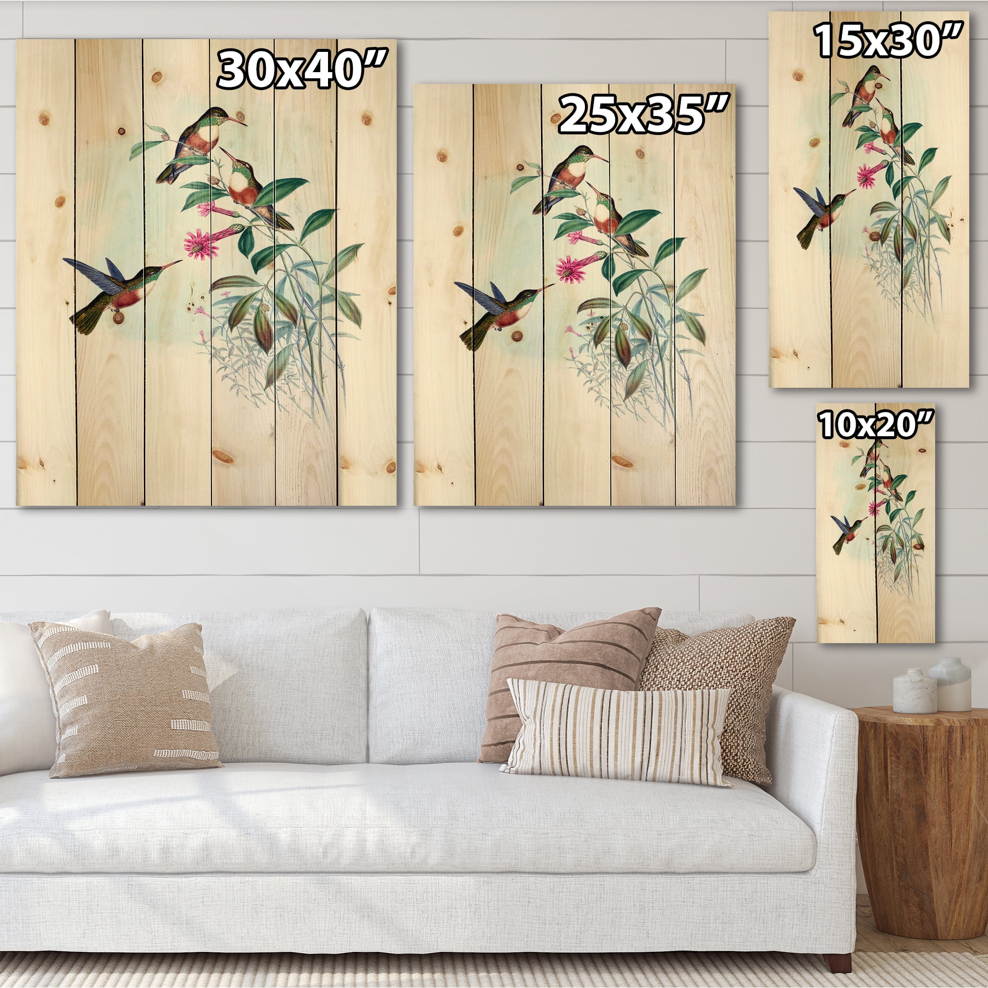 Designart 'Ancient Hummingbird IV' Traditional Print on Natural Pine Wood