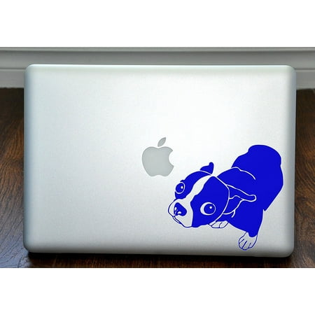 Molly the Boston Terrier Blue Decal for 13