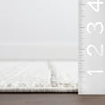 thumbnail image 2 of nuLOOM Aloe Striped Tassels Area Rug, 9' x 12', Aloe Beige, 2 of 9