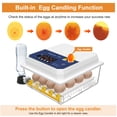thumbnail image 5 of Hairycotar Incubators for Hatching Eggs, 16 Eggs Incubator with Automatic Egg Turning and Humidity Display, Temperature and Humidity Alarms, Egg Candler for Hatching Chicken Quail Ducks, 5 of 11