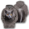 thumbnail image 5 of Sudadera con capucha con estampado 3D de gato británico de pelo corto para hombre, jerseys de manga larga, sudaderas con capucha de gran tamaño con estampado de gatos lindos para primavera y otoño, 5 of 5