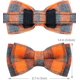 thumbnail image 4 of Breakaway Cat Collar with Bow Tie and Bell, Cute Plaid Patterns, 1 or 2 Pack Kitty Safety Collars, 4 of 5