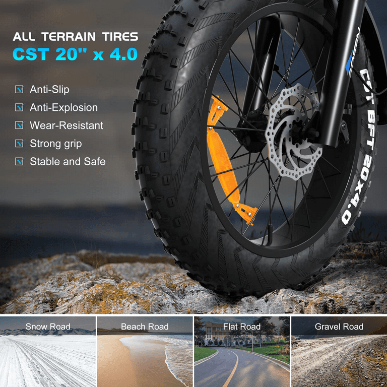 特価電動EBIKE750W48v20ah 750W Electric bike 48V 13Ah Fat Tire Mountainbike 20 Zoll