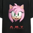 thumbnail image 2 of Sonic The Hedgehog Simply Amy Rose Adult Black Crew Neck Short Sleeve T-shirt-4XL, 2 of 3