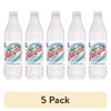 (5 pack) Peafiel Mineral Spring Water, 20.3 Fl. Oz.