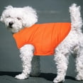thumbnail image 6 of Pet padded clothes Simple and fashionable dog clothes - xl, 6 of 6
