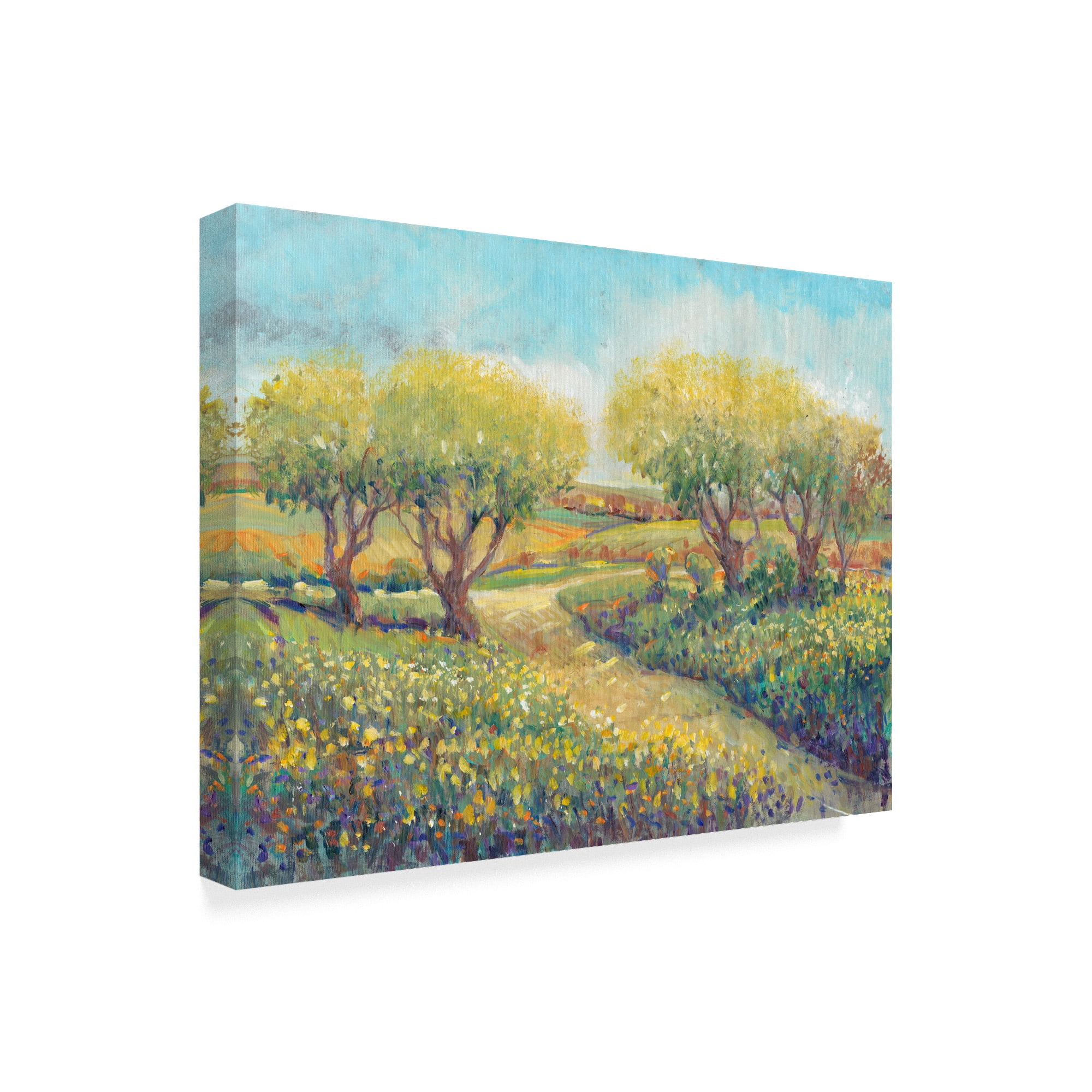 Trademark Fine Art 'Garden Path II' Canvas Art by Tim OToole