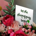 thumbnail image 3 of 3drose, Image of Let the Shenanigans Begin Quote, 6 Greeting Cards with Envelopes, 3 of 7