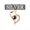 A_rose gold-tone(S925 Sterling Silver), variant on 925 Sterling Silver I Love You Necklace 100 Languages Necklaces for Women Anniversary Birthday Gifts for Women Girlfriend Her Wife