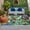 Red, Green, Yellow, variant on Tropical Plants Outdoor Rug for Patio/Deck/Porch, Non-Slip Large Area Rug 5 x 7 Ft, Summer Rustic Monstera Palm Leaves Birds Green Indoor Outdoor Rugs Washable Area Rugs, Camping Rug Carpet Runner