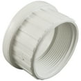 thumbnail image 2 of Pentair U11-199P 2" FPT Union Adapter, 2 of 2