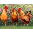 thumbnail image 2 of Matcham, Marcia 24x19 Black Ornate Wood Framed with Double Matting Museum Art Print Titled - Roosters en Place I, 2 of 4