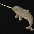 thumbnail image 2 of CafePress - Narwhal Maternity T Shirt - Maternity Dark T-Shirt, 2 of 3