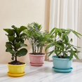 thumbnail image 2 of Flower Pot Nice-looking Fashion Lightweight Plastic Flower Vegetable Planters Pot With Tray For Home, 2 of 5