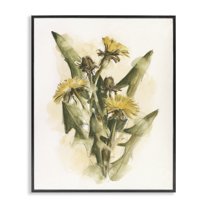 Stupell Industries Cottage Buttercup Flowers Botanical & Floral Painting Black Framed Art Print Wall Art, 24 x 30