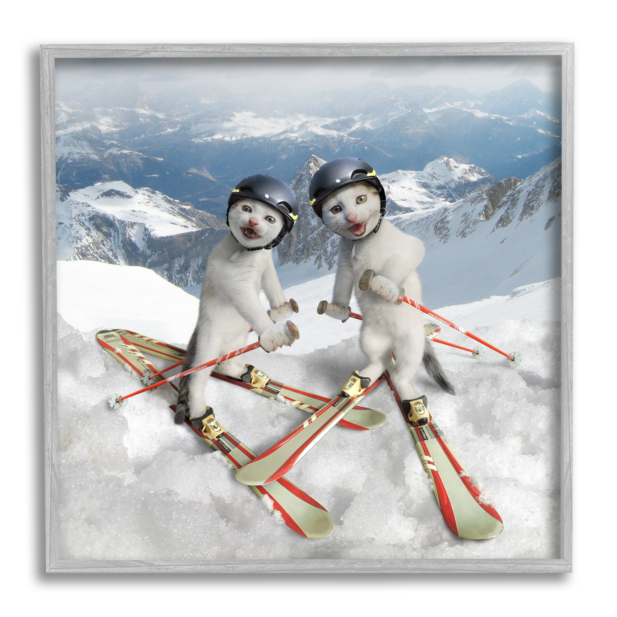 Stupell Industries Humorous White Cats Skiing Gear Snowcapped Mountains Graphic Art Gray Framed Art Print Wall Art, Design by Chiara