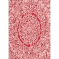 thumbnail image 1 of Ahgly Company Machine Washable Indoor Rectangle Transitional Pastel Pink Area Rugs, 5' x 7', 1 of 7