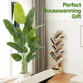 thumbnail image 3 of Keeplush 6FT Bird of Paradise Artificial Plant - Tall Fake Silk Tree with 13 Stems, Realistic Large Faux Indoor Floor Plant for Home Office Decor, Big Decorative House Plant (180cm), 3 of 10