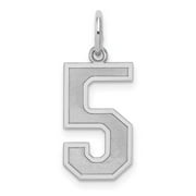 VSIRIUS Sterling Silver/Rhodium-plated Satin Number 5 Charm QQPM05