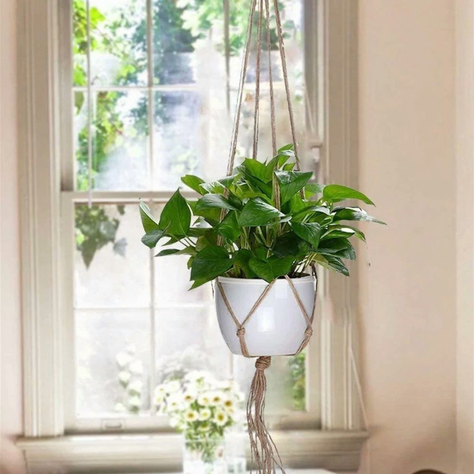 PURELY- 4 Pack Garden Plant Hanger Macrame Hanging Planter Basket Rope Pot Holder Decor