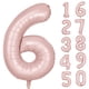 thumbnail image 1 of Globo número 6 rosa de 102 cm para fiesta Yeodong, 1 of 6