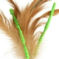 thumbnail image 5 of SmartyKat Crazy Carrot Flexible Bat & Chase Cat Toy  For Cats & Kittens, 5 of 8