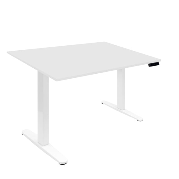 Electric Standing Desk with 48" Tabletop