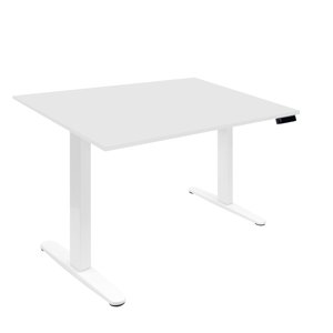 Electric Standing Desk with 48 Tabletop