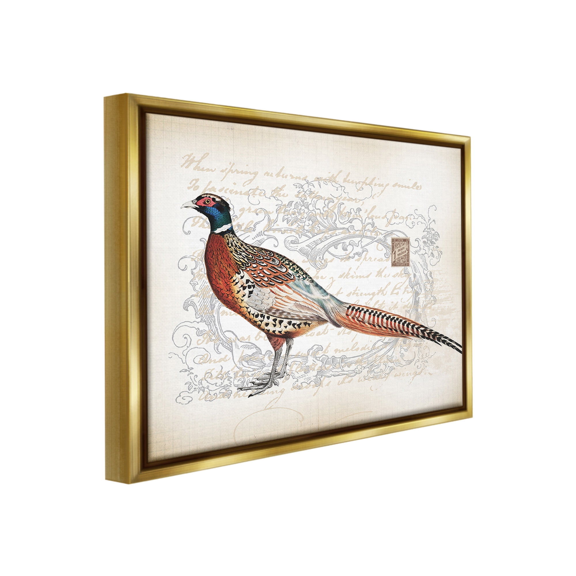 Stupell Industries Pheasant & Vintage Pattern Animals & Insects Painting Gold Floater Framed Canvas Art Print Wall Art, 21 x 17