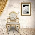 thumbnail image 3 of Schell, Jennie Marie 23x32 Gold Ornate Wood Framed with Double Matting Museum Art Print Titled - Daisy Flower Macro Black and White 2, 3 of 4